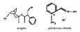 Atnaa Atropine And Pralidoxime Chloride Auto-injector